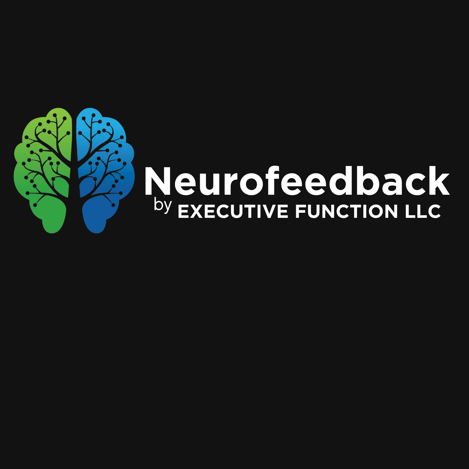 Executive Function